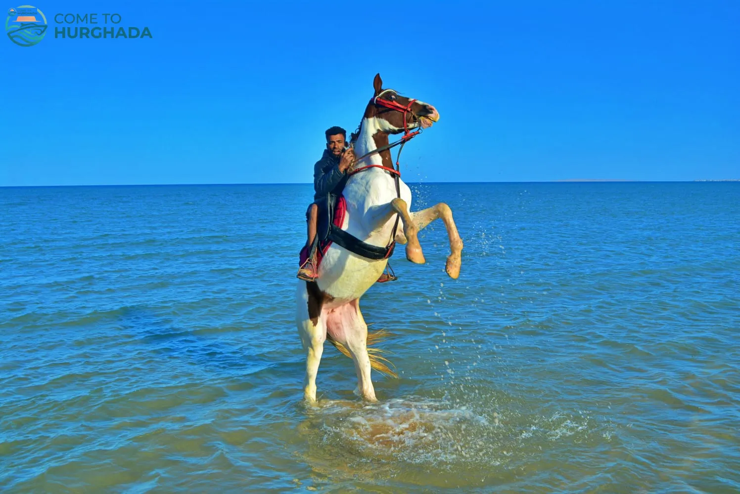 جولة ركوب خيل على شاطئ الجونة